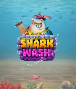 Исследуйте уникальным подводным приключением с игрой Shark Wash от Relax Gaming, демонстрирующим светлую графику подводных обитателей в забавной обстановке автомойки. Откройте для себя веселью, когда акулы и другие морские животные испытывают пузырьковой чисткой, с захватывающие механики вроде бесплатных вращений, вайлдов и специальных бонусов. Идеально для геймеров, в поисках легкомысленного игрового сеанса с уникальной тематикой.